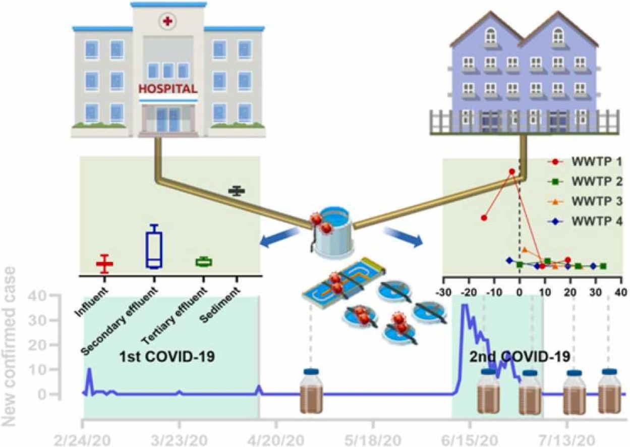 20220415-环境学院黄霞教授团队在污水中新冠病毒研究方面取得新进展-刘艳臣-污水系统新冠病毒核酸片段检测示意图.jpg