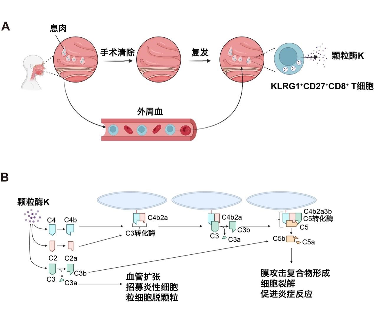 20250116-医学院-自然成果-医学院 插图.jpg